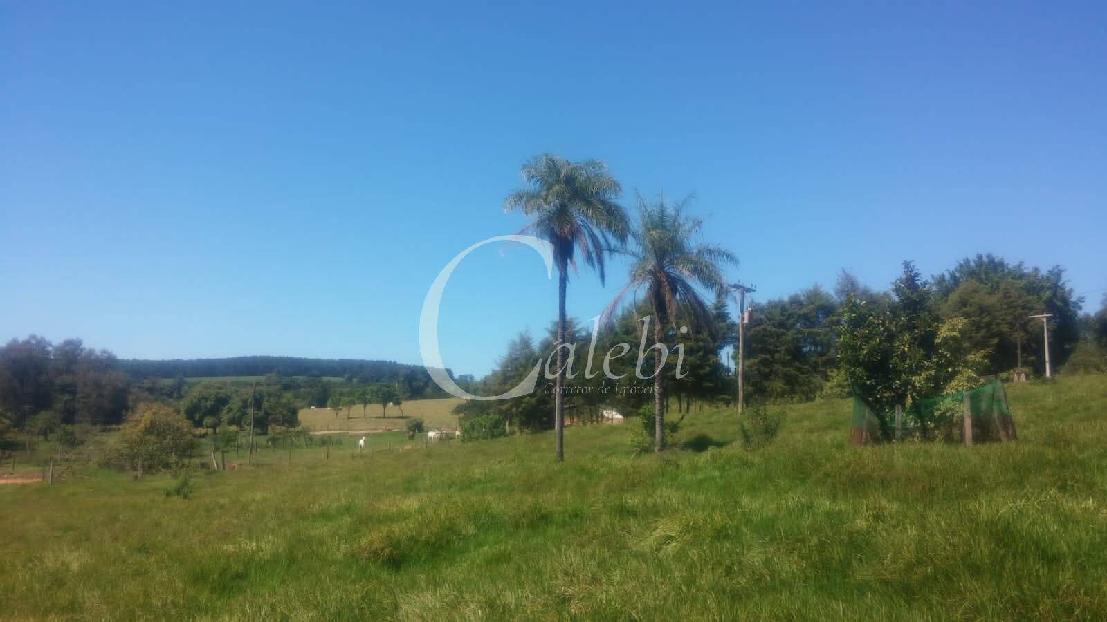 Sítio à venda com 3 quartos, 43000m² - Foto 28