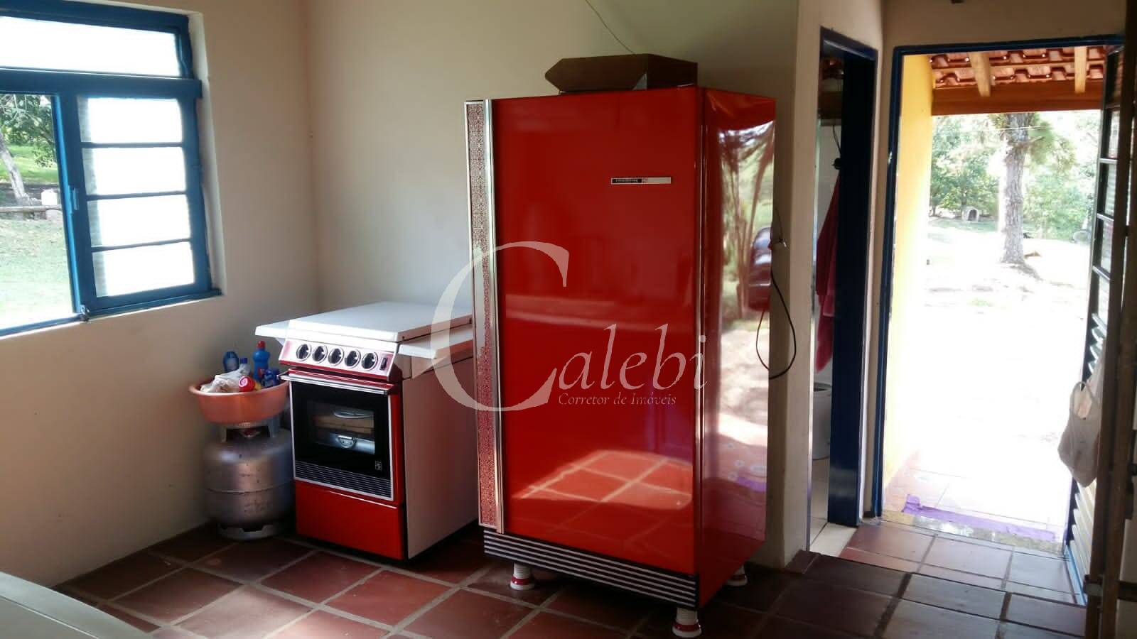 Sítio à venda com 3 quartos, 43000m² - Foto 26