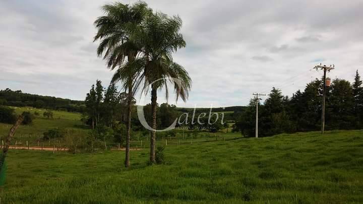 Sítio à venda com 3 quartos, 43000m² - Foto 33