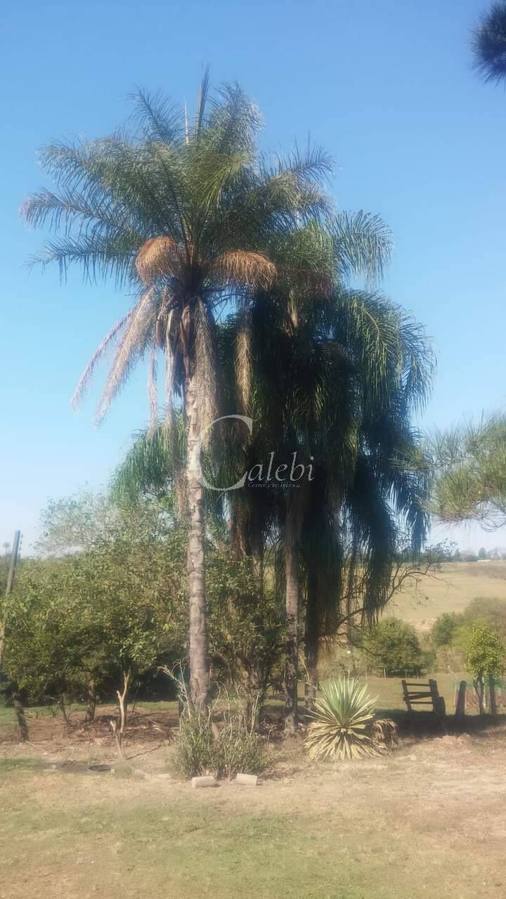 Sítio à venda com 3 quartos, 43000m² - Foto 30