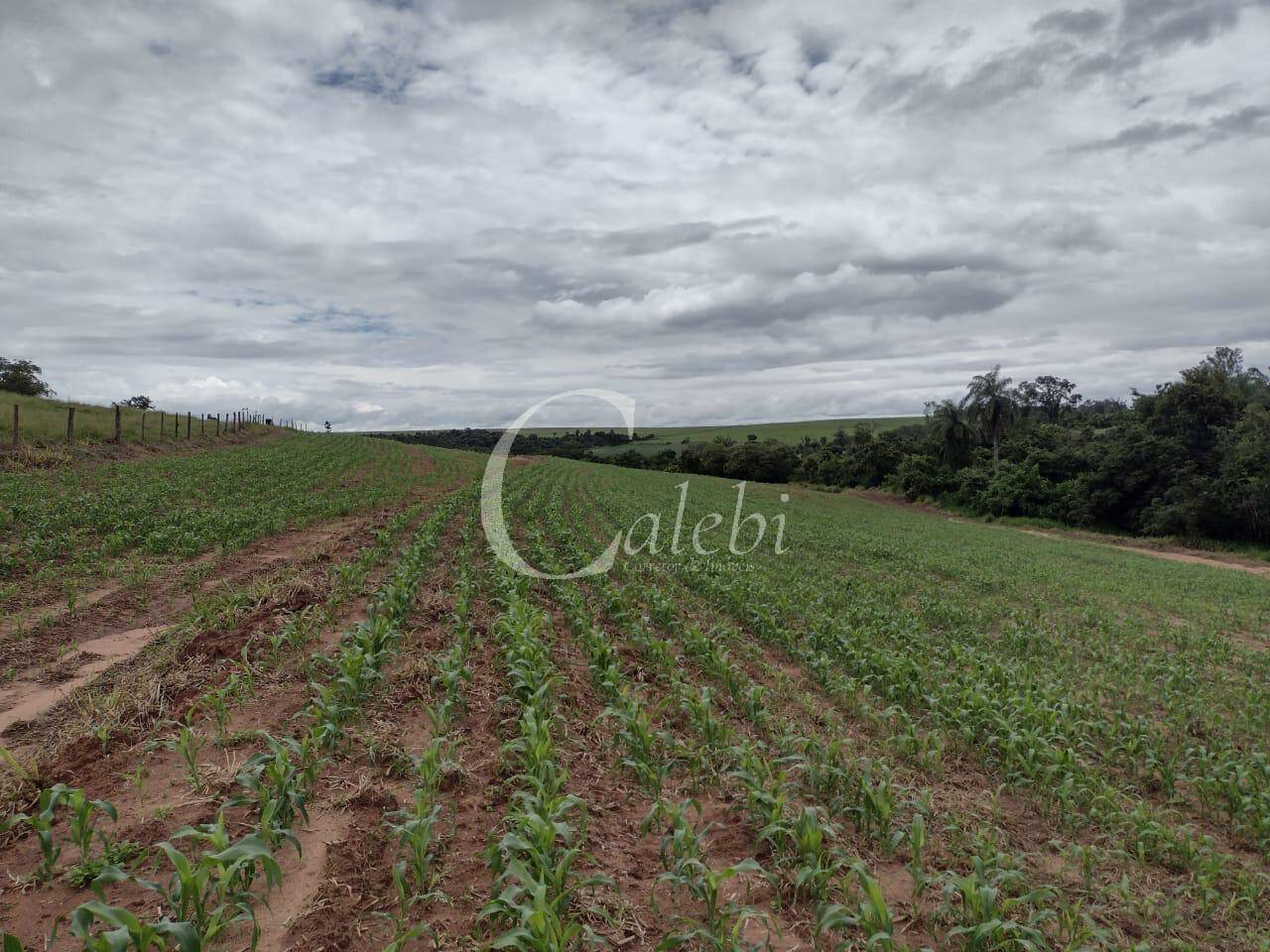 Sítio, 3 quartos, 27 m² - Foto 4