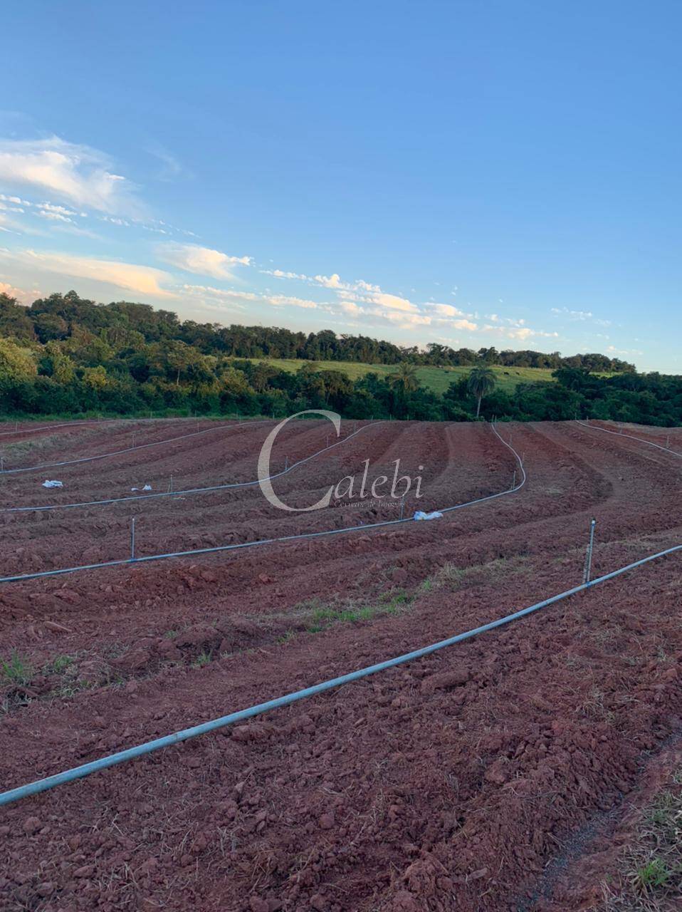 Sítio, 3 quartos, 27 m² - Foto 7