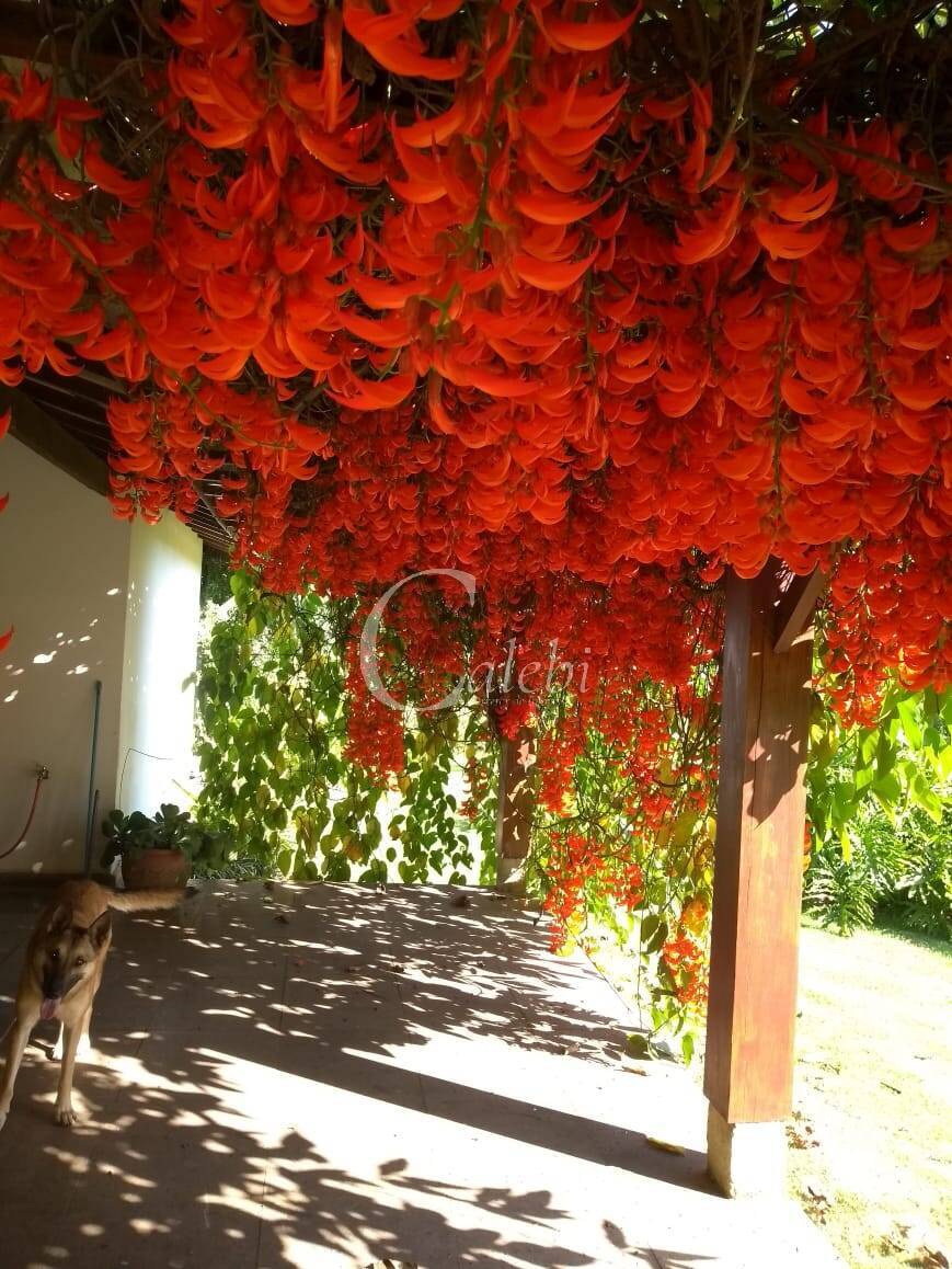 Sítio, 3 quartos, 27 m² - Foto 6