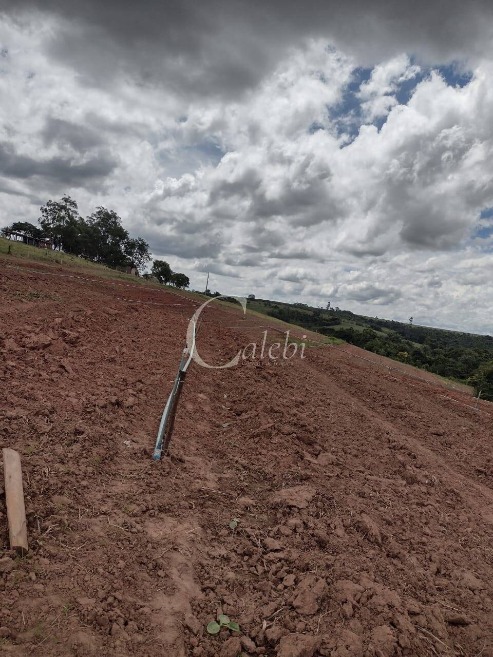 Sítio, 3 quartos, 27 m² - Foto 5