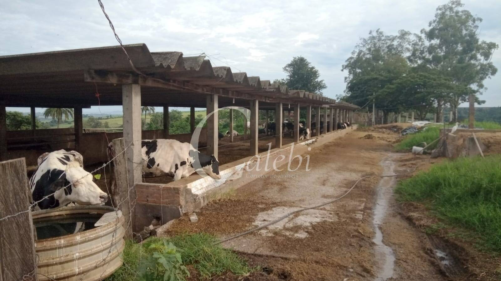 Sítio, 3 quartos, 27 m² - Foto 8