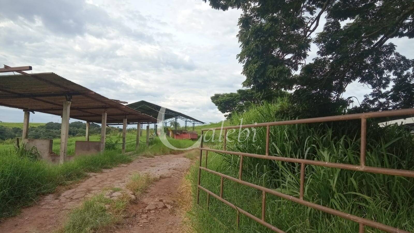 Sítio, 3 quartos, 27 m² - Foto 10