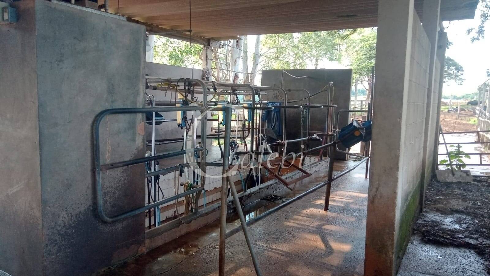 Sítio, 3 quartos, 27 m² - Foto 33