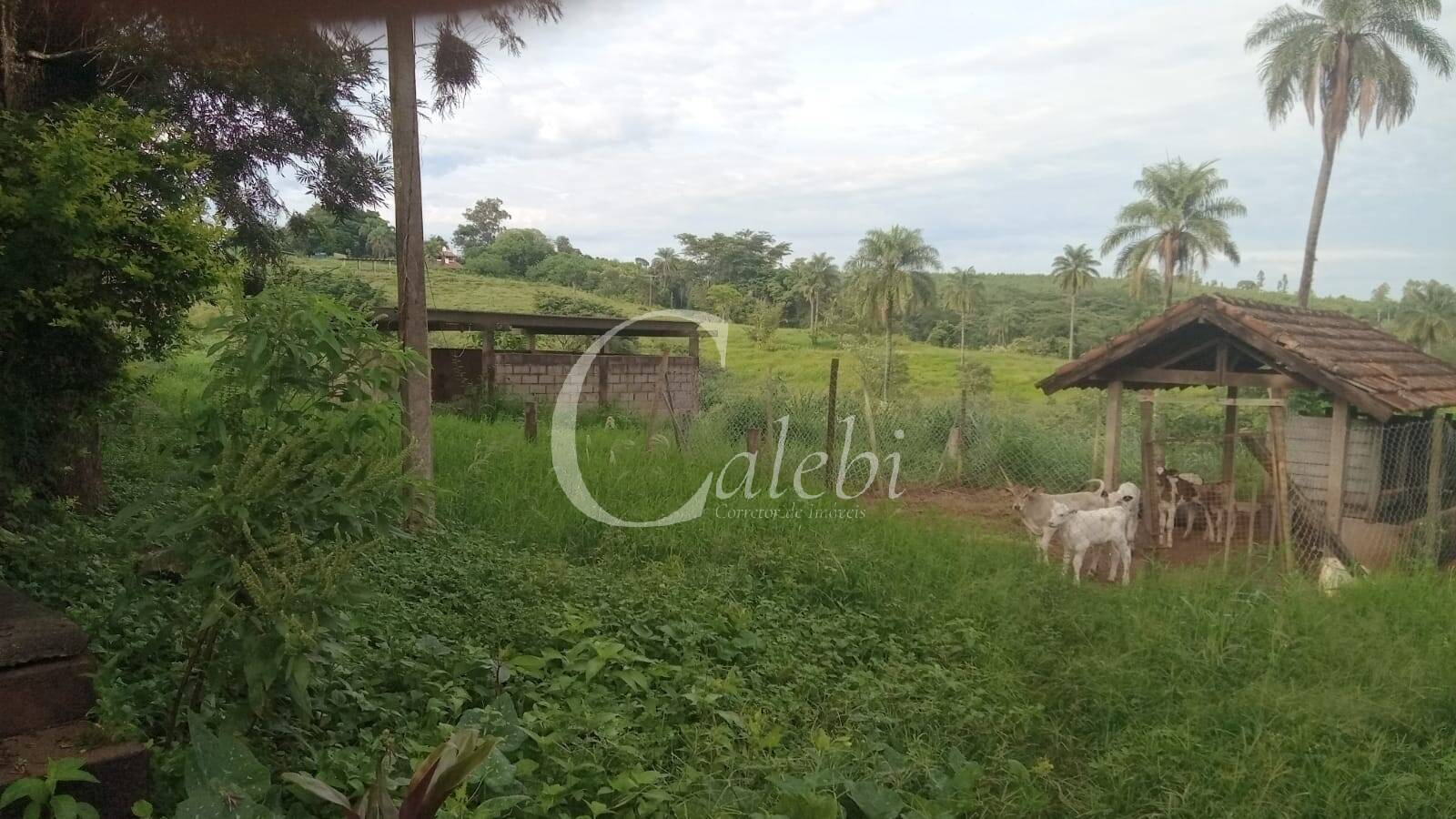 Sítio, 3 quartos, 27 m² - Foto 36