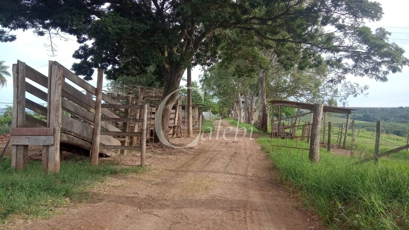 Sítio, 3 quartos, 27 m² - Foto 39