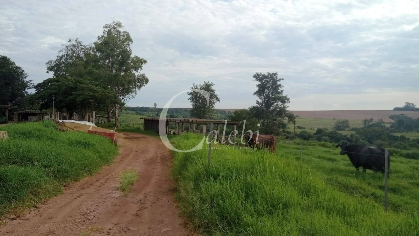 Sítio, 3 quartos, 27 m² - Foto 40