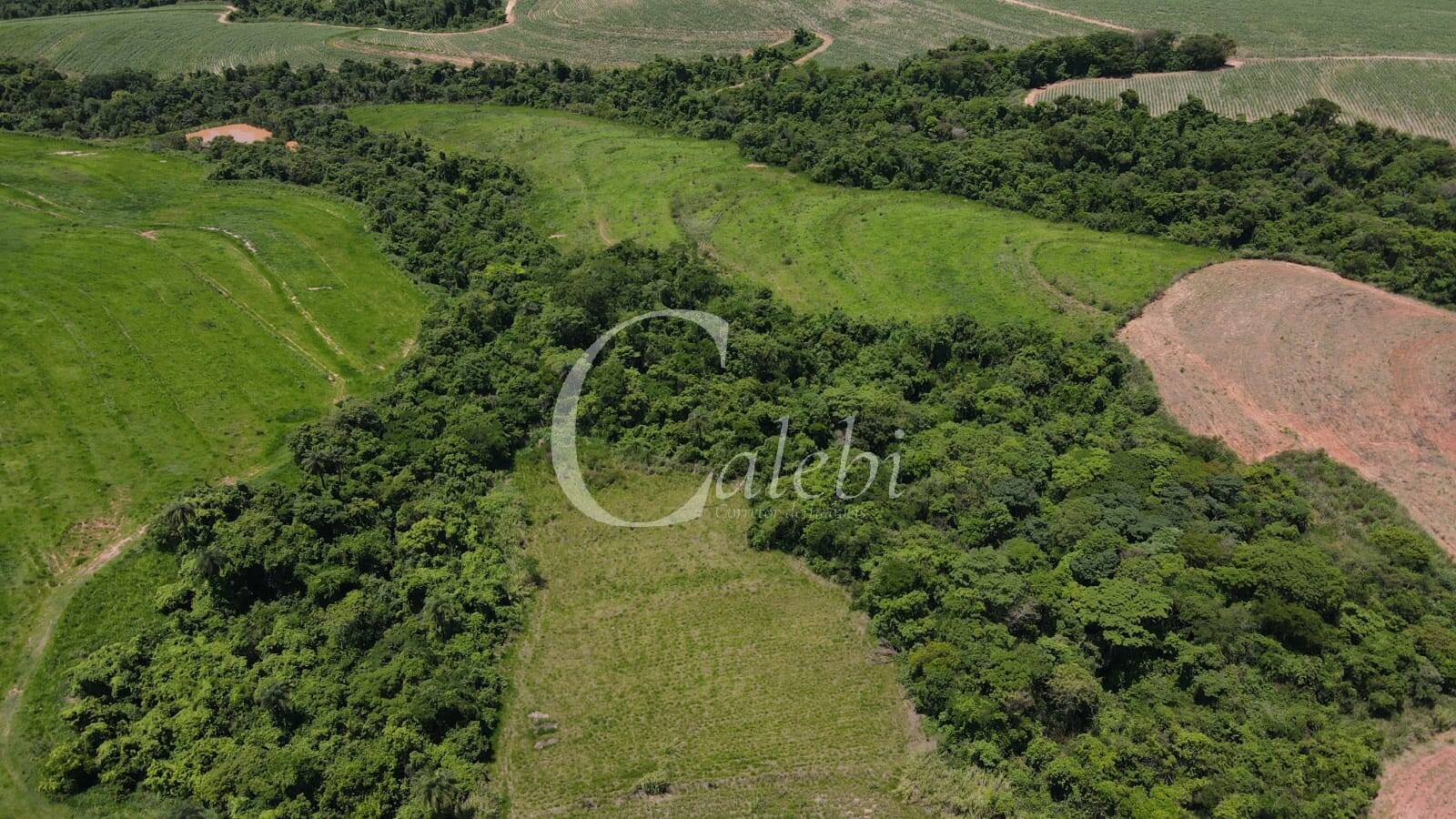 Sítio, 3 quartos, 27 m² - Foto 45