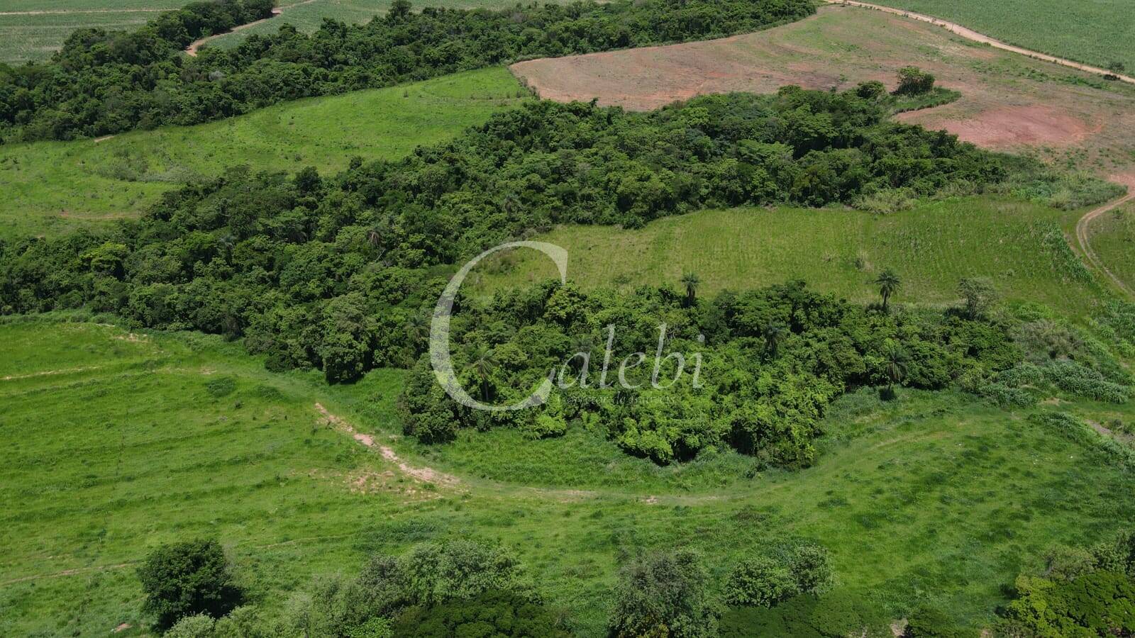 Sítio, 3 quartos, 27 m² - Foto 50