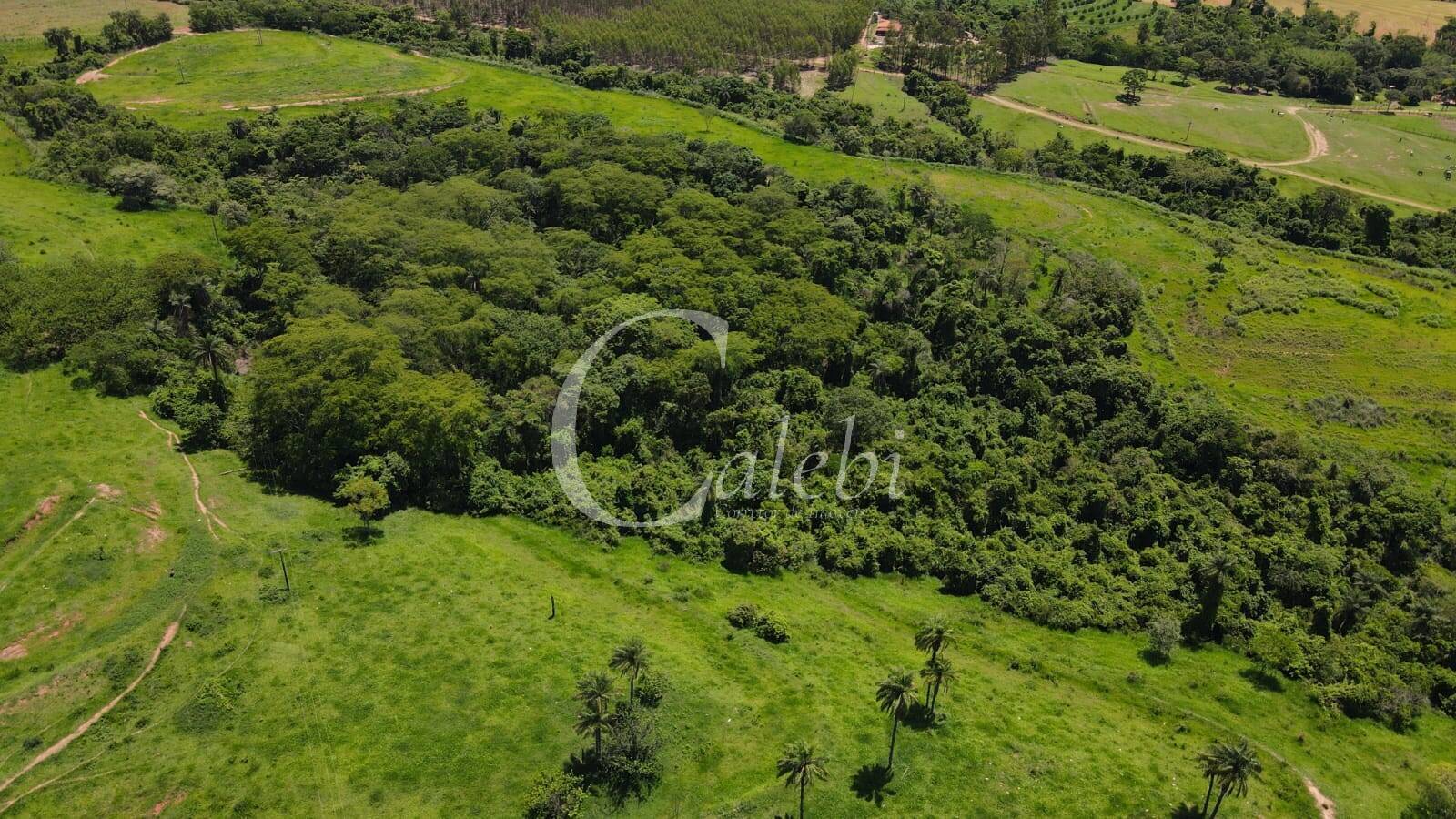 Sítio, 3 quartos, 27 m² - Foto 60