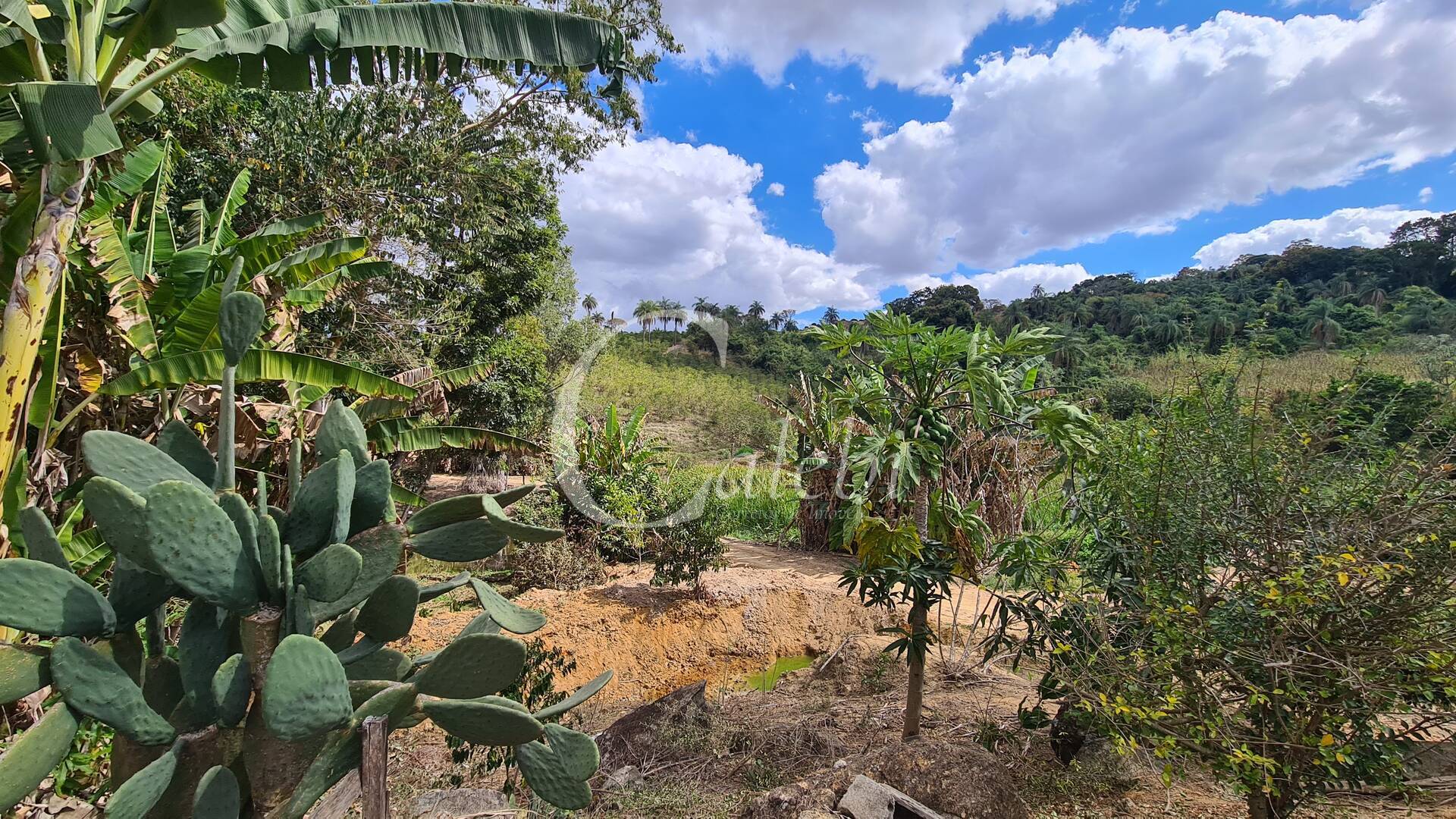 Sítio à venda com 2 quartos, 170m² - Foto 26