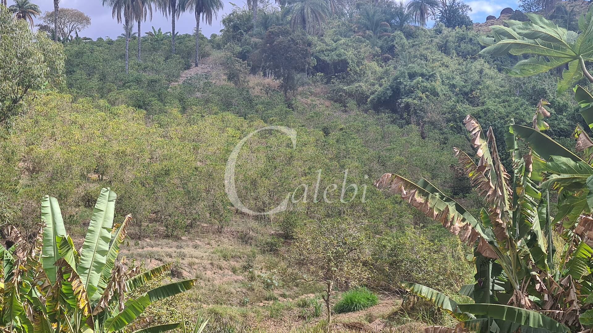 Sítio à venda com 2 quartos, 170m² - Foto 27