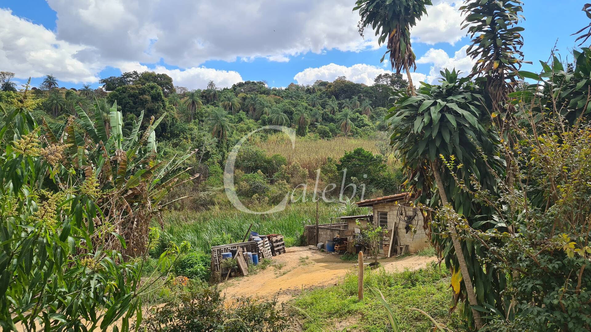 Sítio à venda com 2 quartos, 170m² - Foto 30