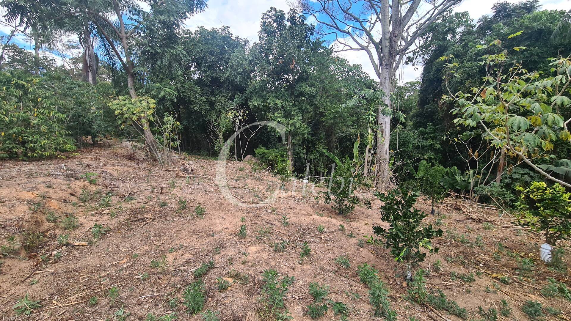 Sítio à venda com 2 quartos, 170m² - Foto 35