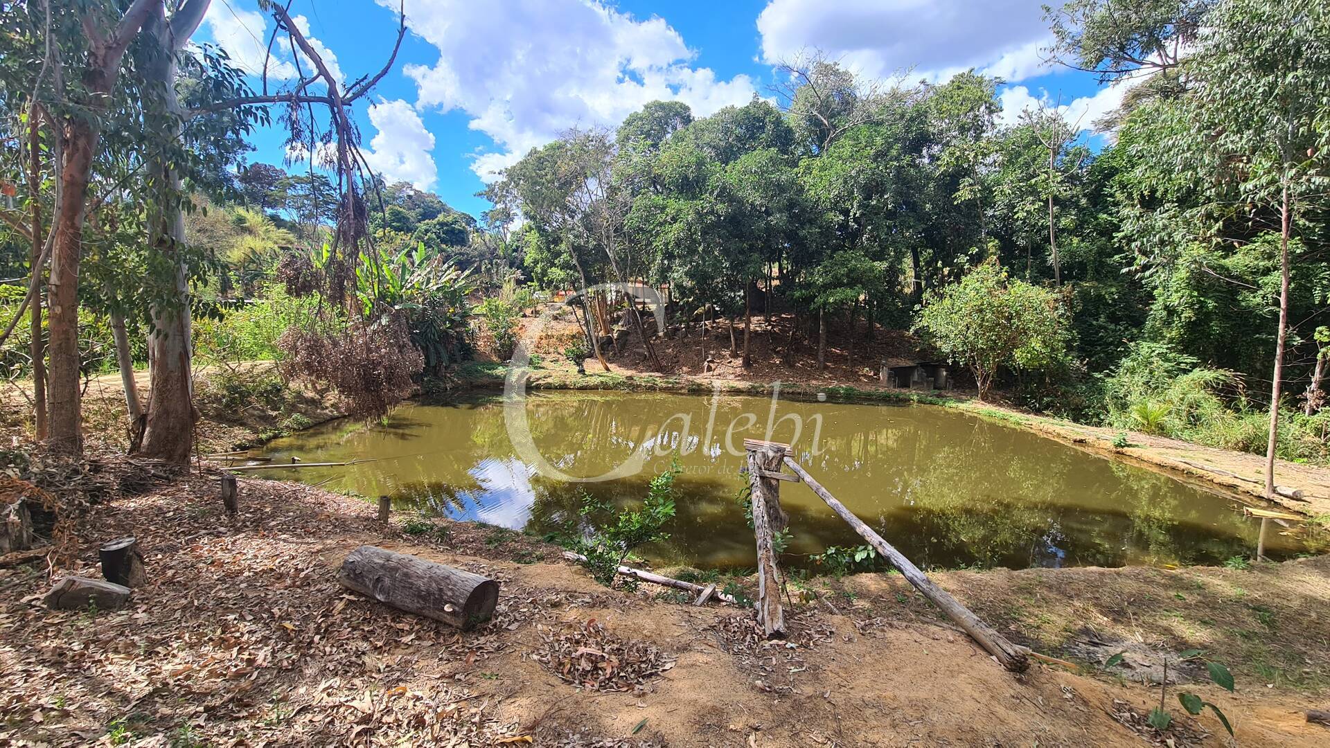 Sítio à venda com 2 quartos, 170m² - Foto 40