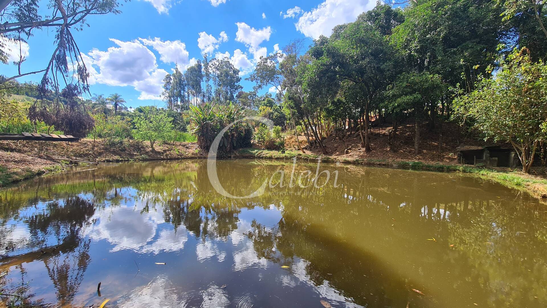 Sítio à venda com 2 quartos, 170m² - Foto 5