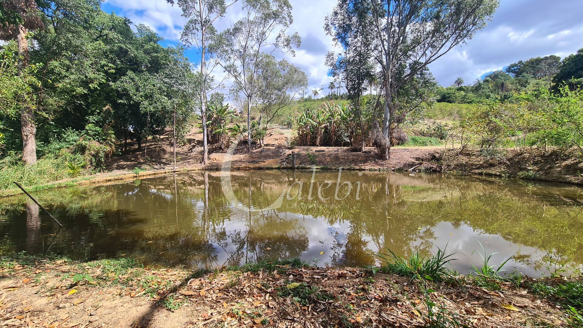 Sítio à venda com 2 quartos, 170m² - Foto 7