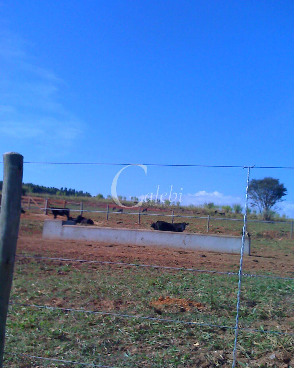 Fazenda à venda com 3 quartos, 26m² - Foto 3