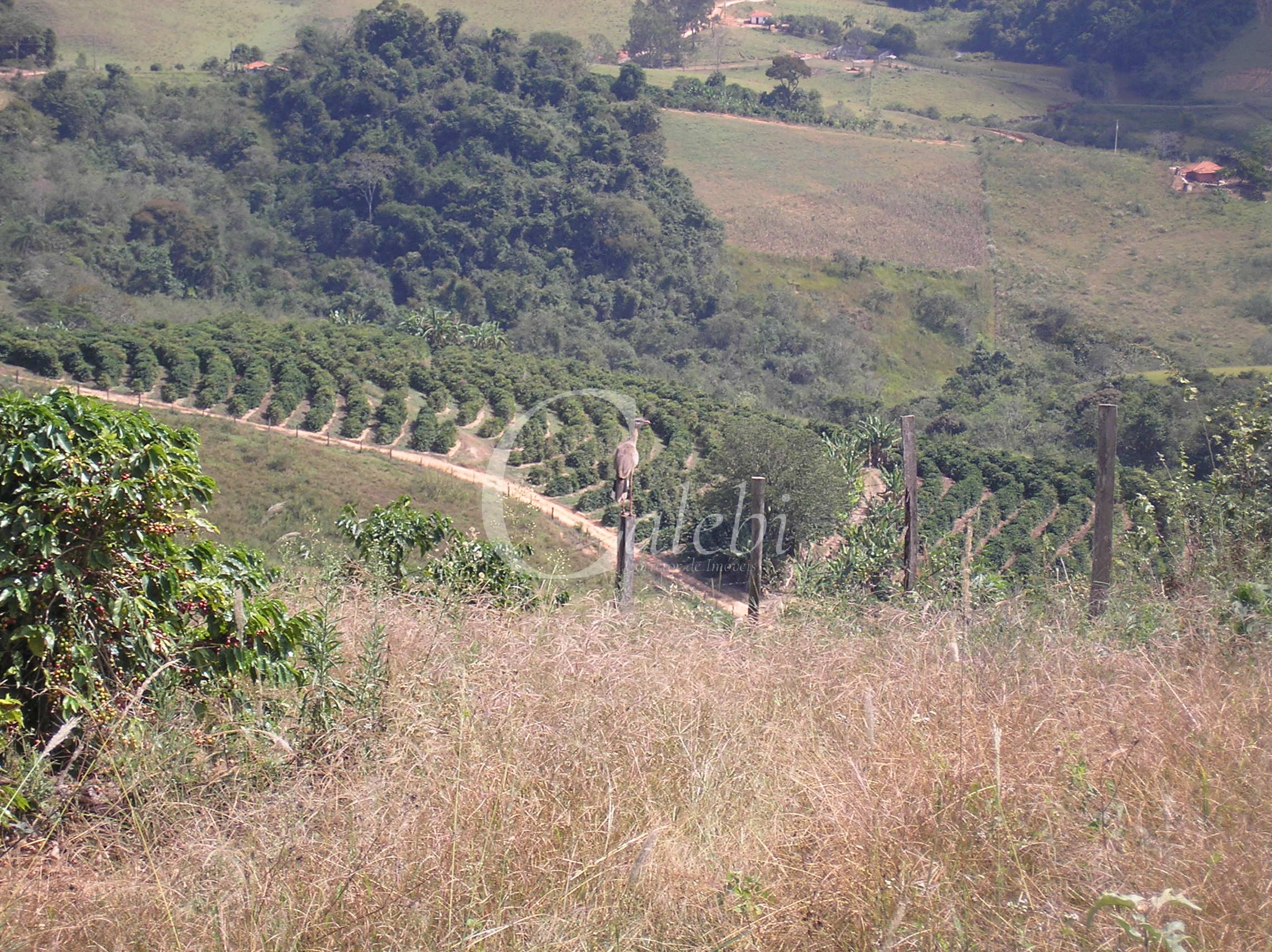 Fazenda à venda com 3 quartos, 26m² - Foto 25