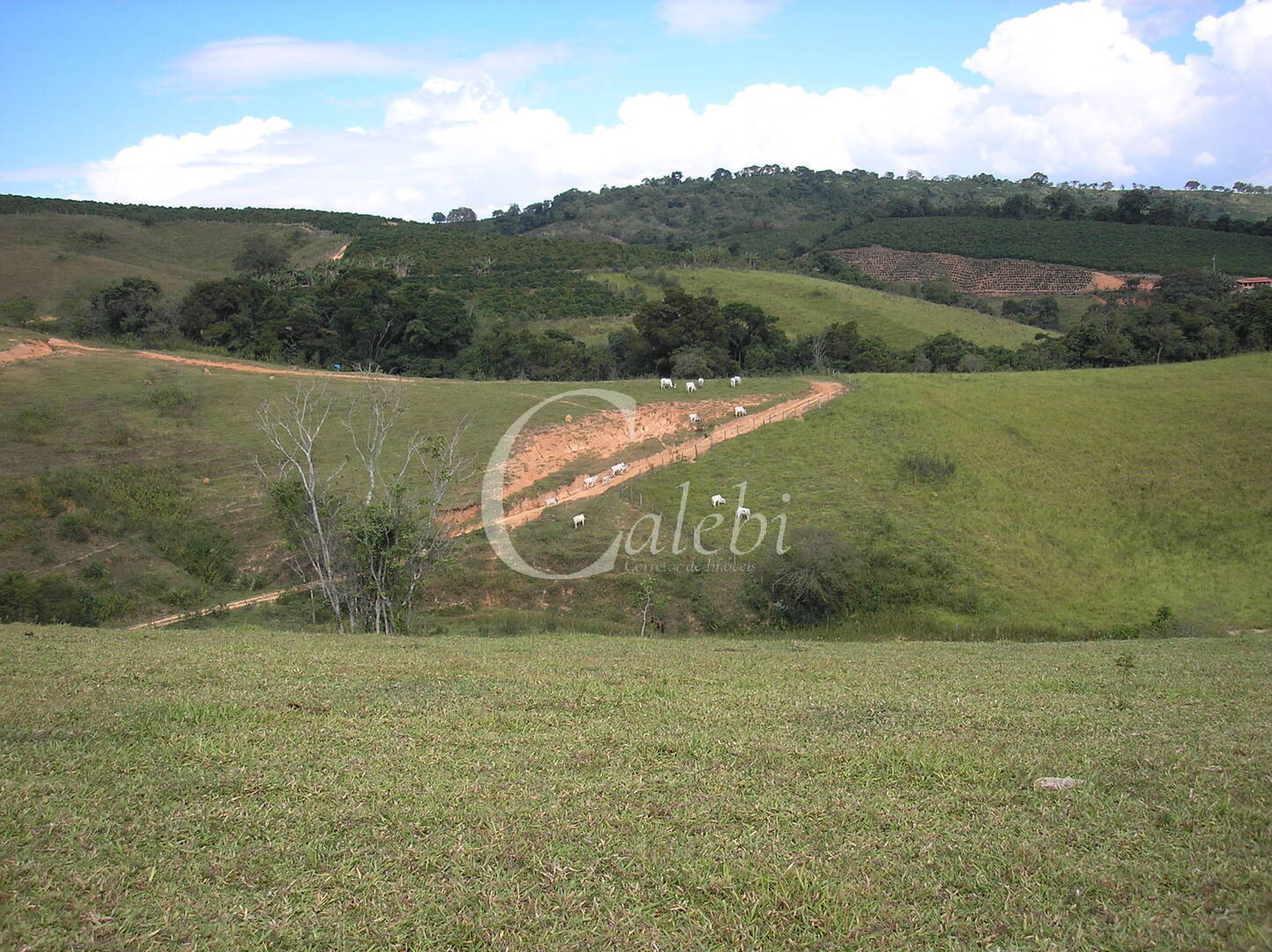 Fazenda à venda com 3 quartos, 26m² - Foto 31