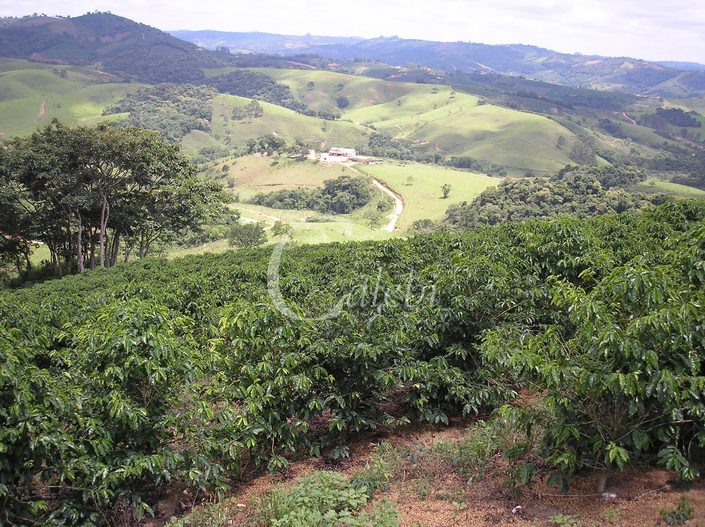 Fazenda à venda com 3 quartos, 26m² - Foto 32