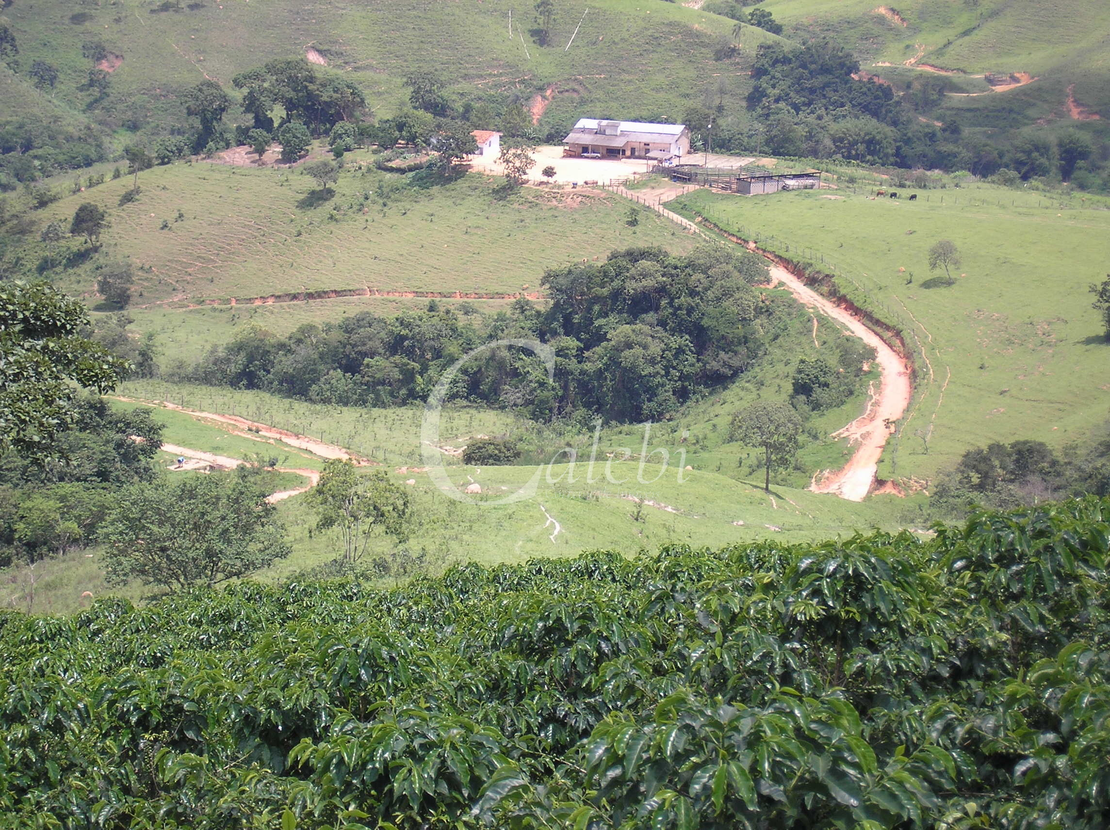 Fazenda à venda com 3 quartos, 26m² - Foto 33