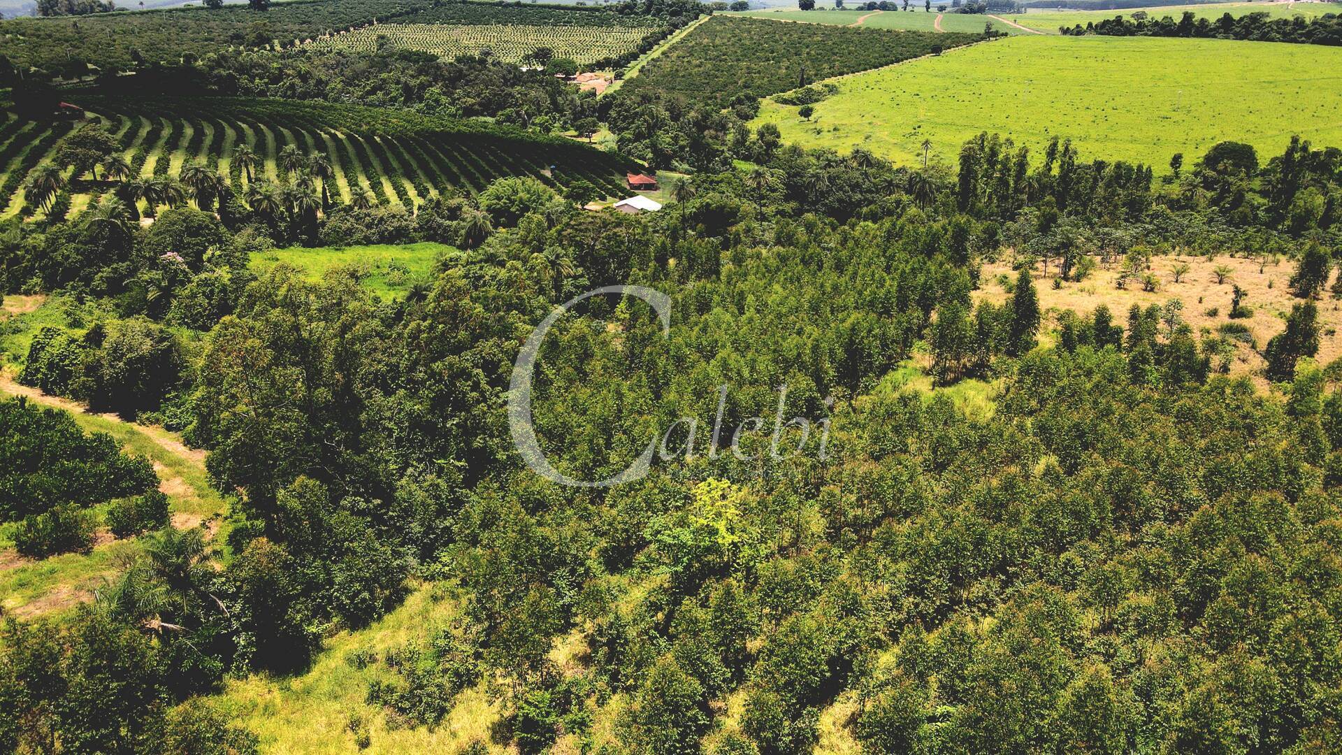 Terreno à venda, 4m² - Foto 12