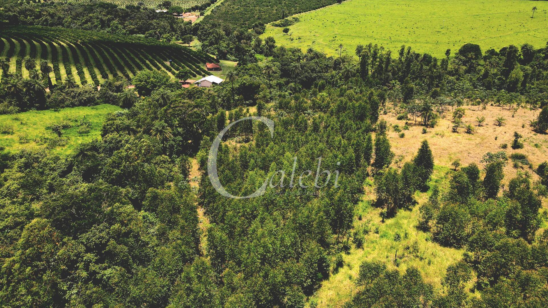 Terreno à venda, 4m² - Foto 13