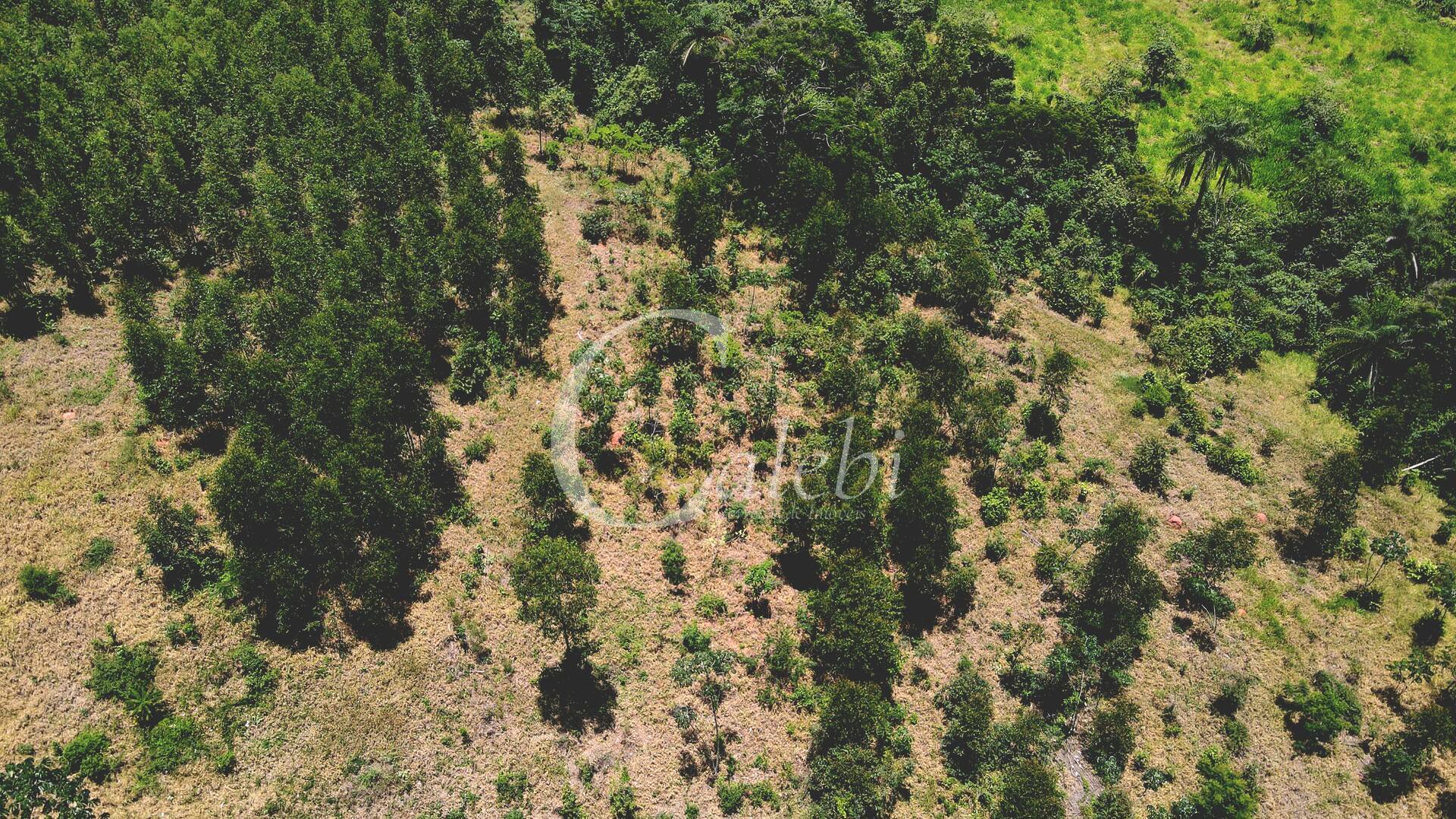 Terreno à venda, 4m² - Foto 18