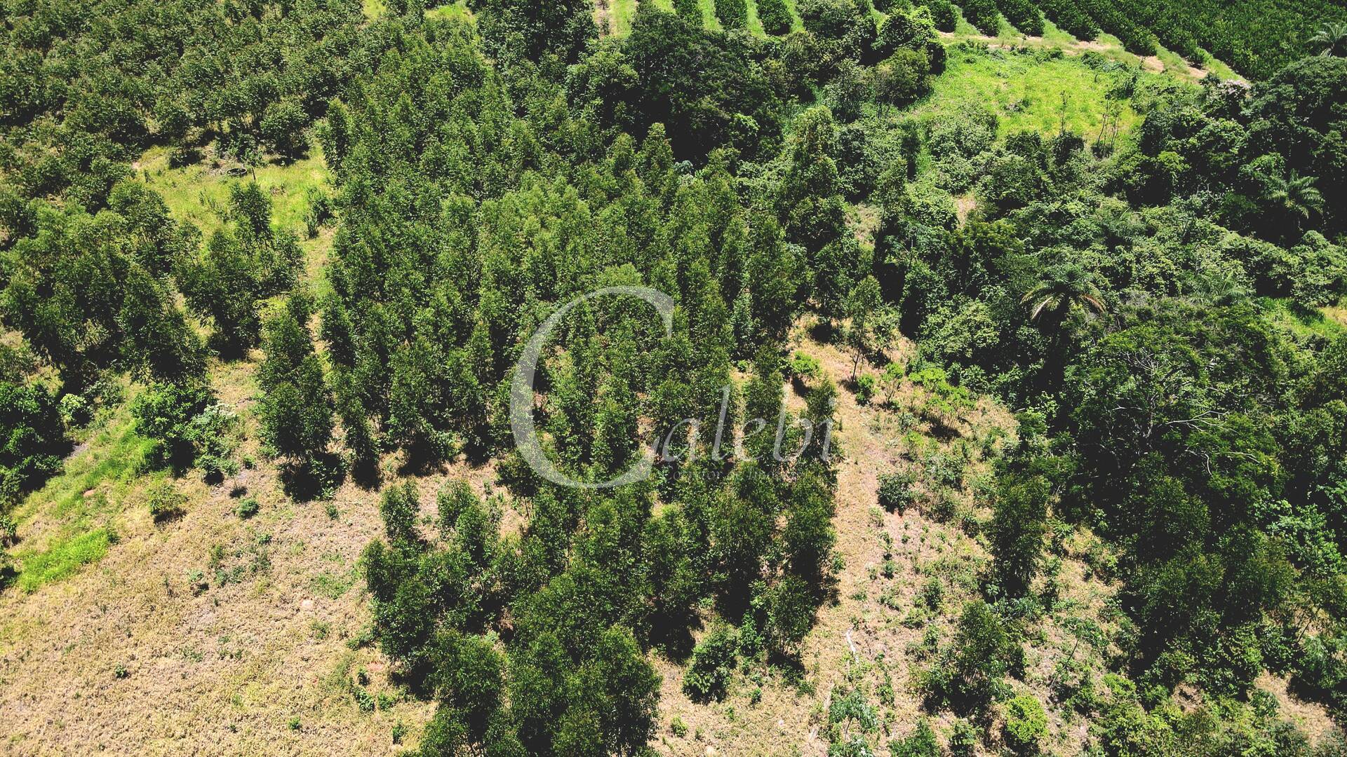 Terreno à venda, 4m² - Foto 19