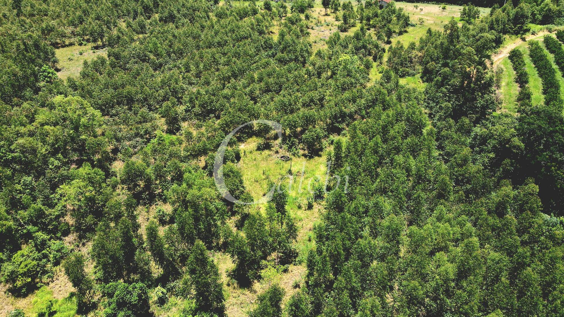 Terreno à venda, 4m² - Foto 20