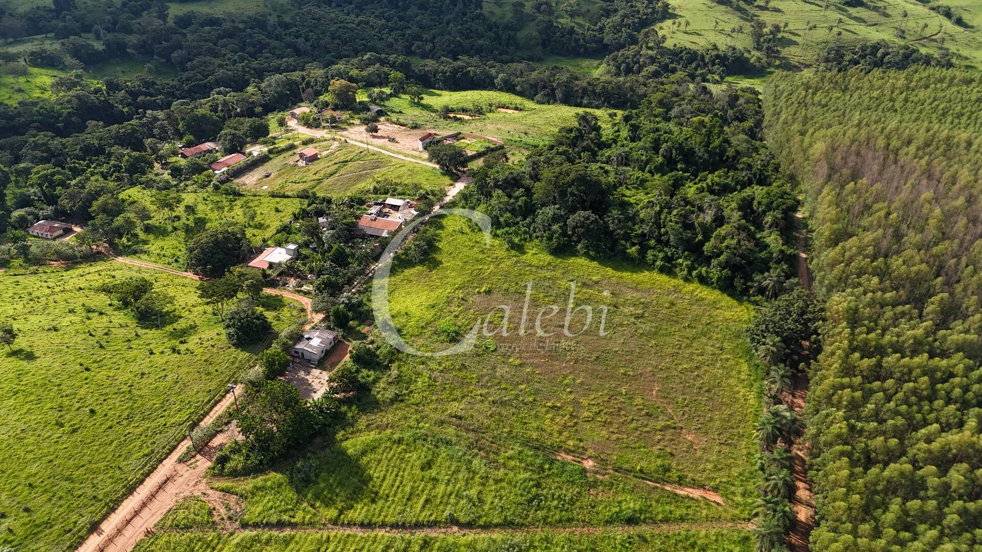 Terreno, 2 hectares - Foto 1