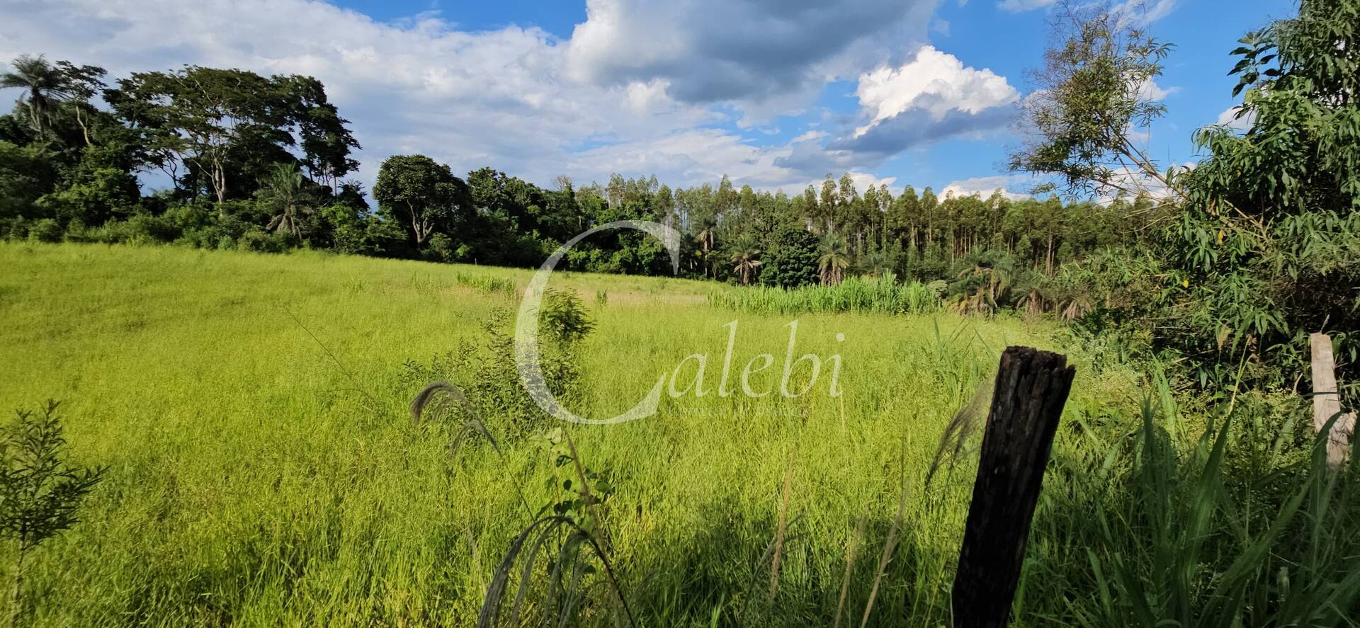 Terreno, 2 hectares - Foto 3