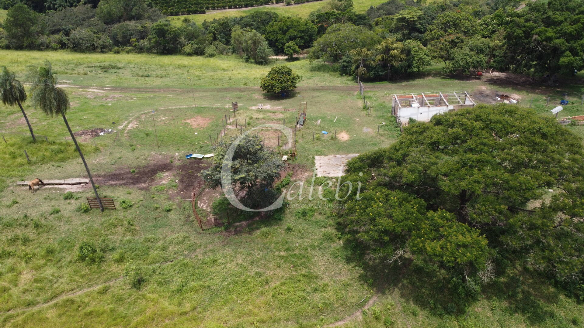 Sítio à venda com 3 quartos, 11m² - Foto 16