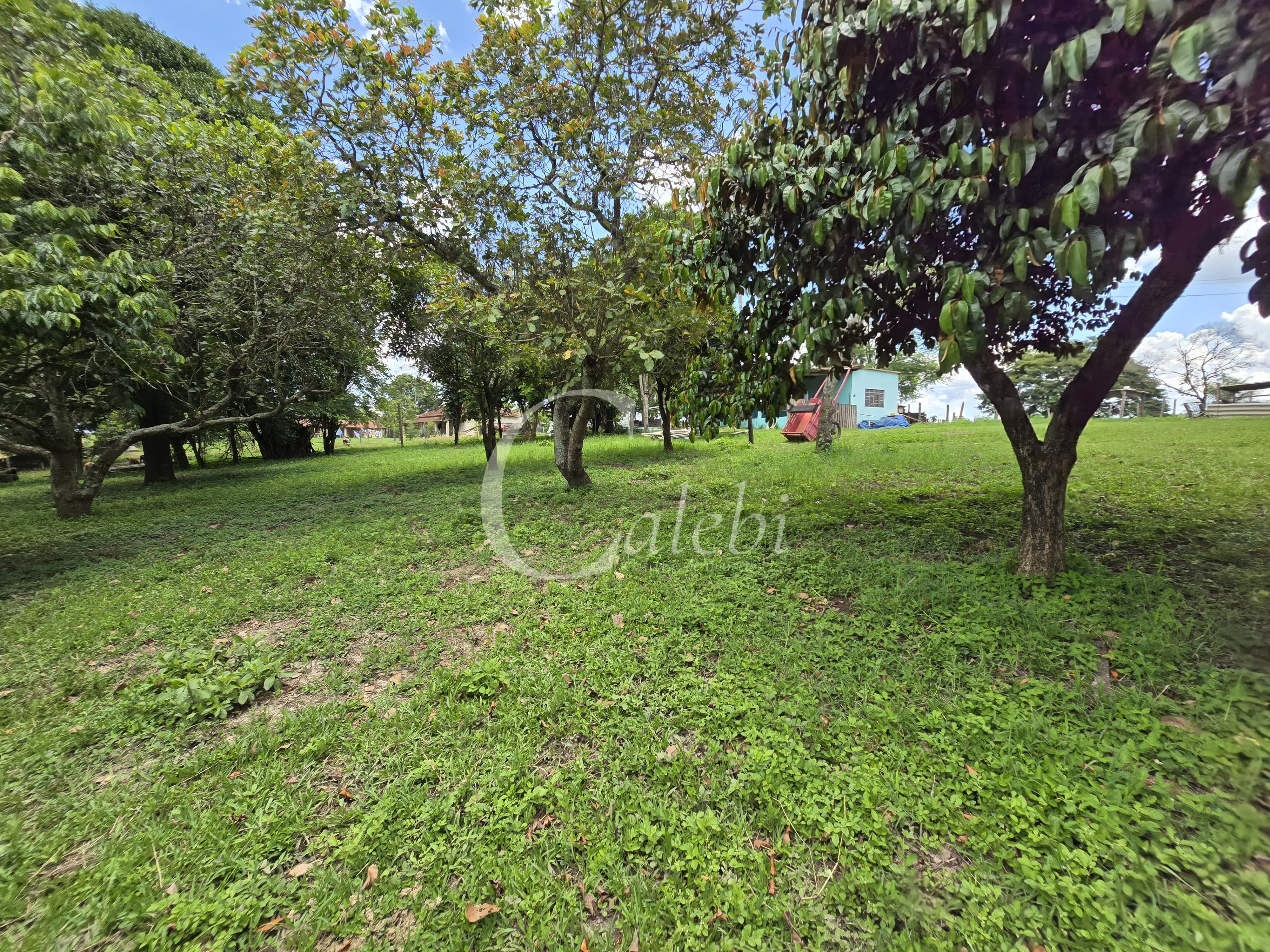 Sítio à venda com 3 quartos, 11m² - Foto 23