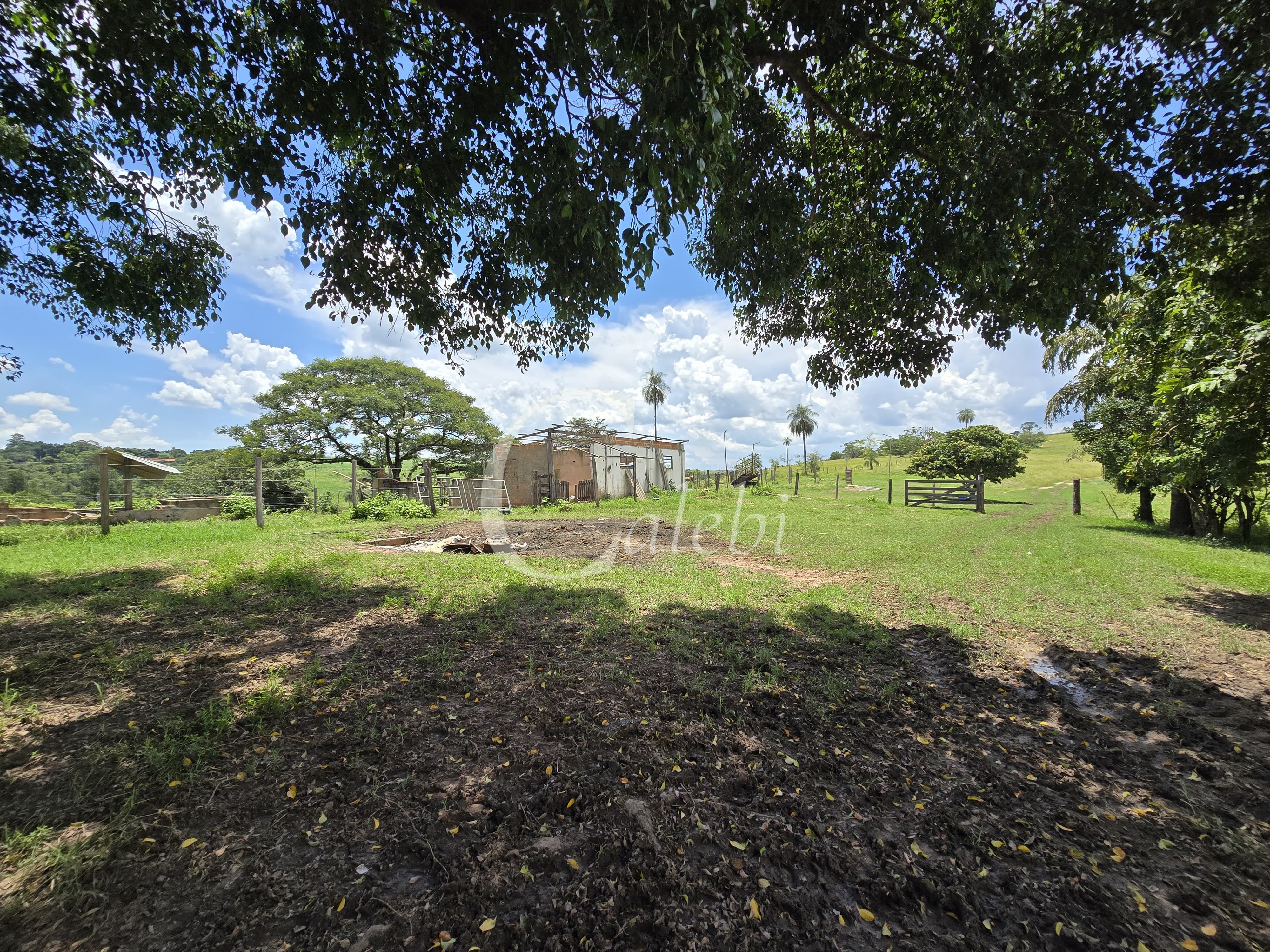Sítio à venda com 3 quartos, 11m² - Foto 53