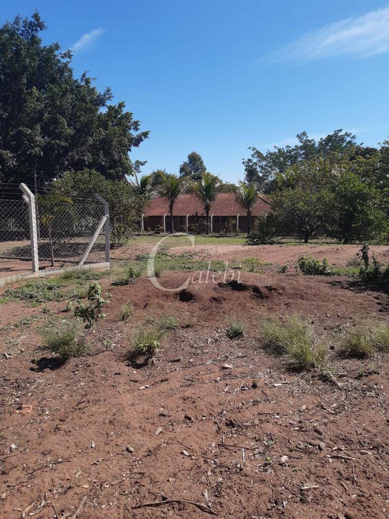 Sítio, 3 quartos, 3 m² - Foto 3