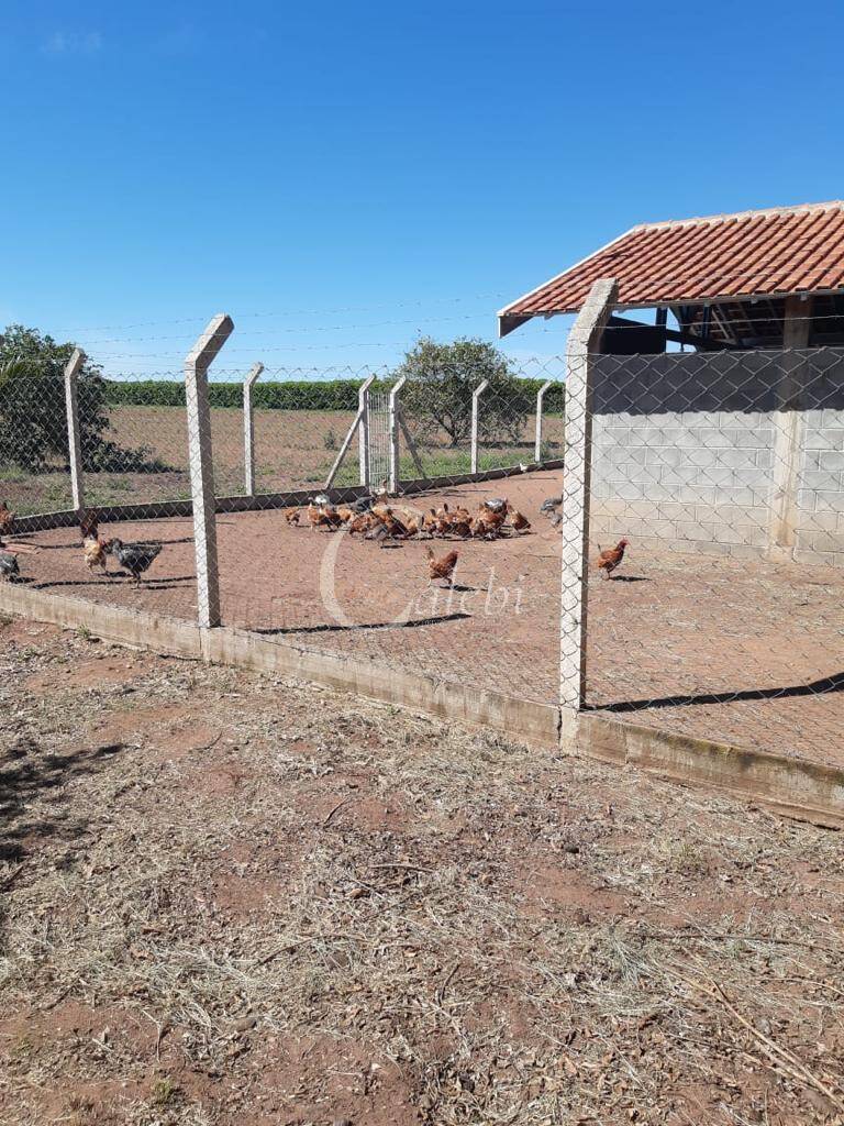 Sítio, 3 quartos, 3 m² - Foto 15