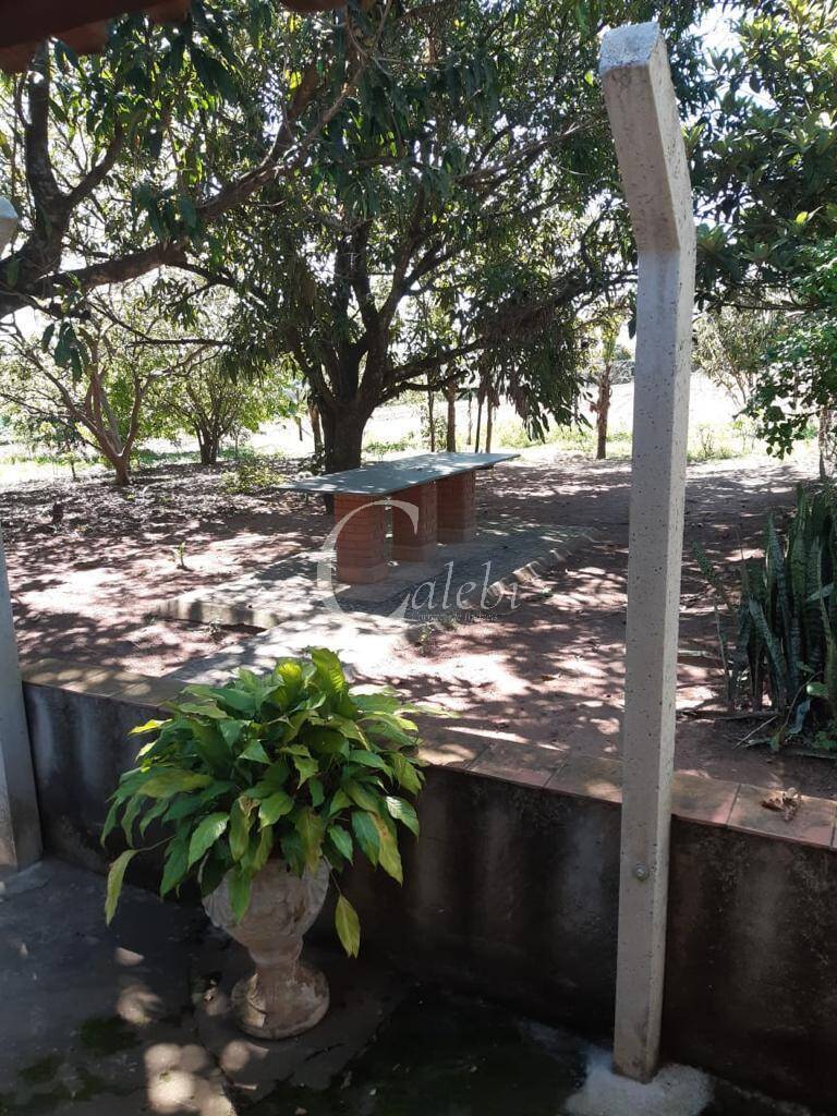 Sítio, 3 quartos, 3 m² - Foto 19