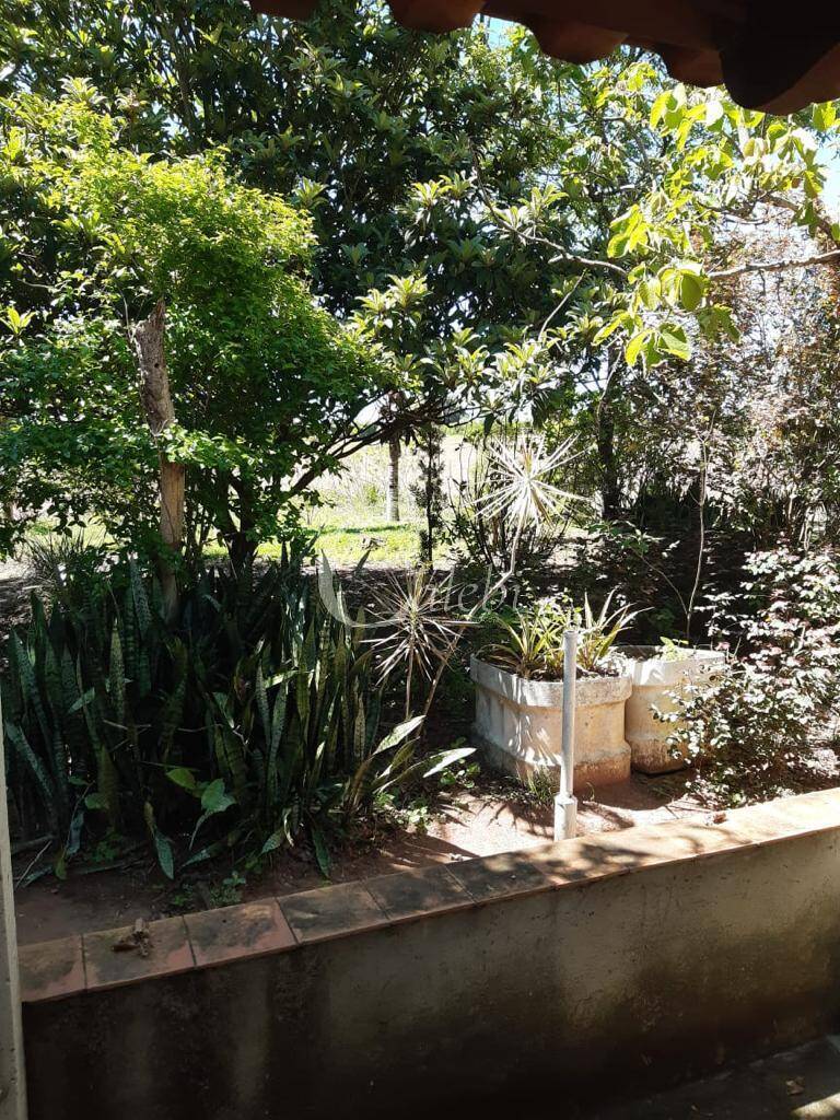 Sítio, 3 quartos, 3 m² - Foto 18