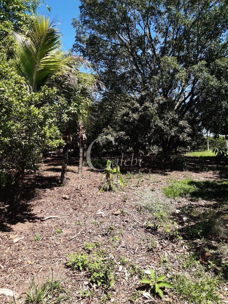 Sítio, 3 quartos, 3 m² - Foto 20