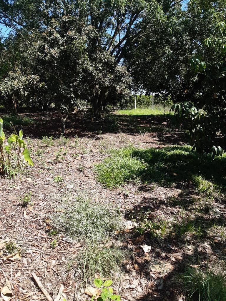 Sítio, 3 quartos, 3 m² - Foto 21