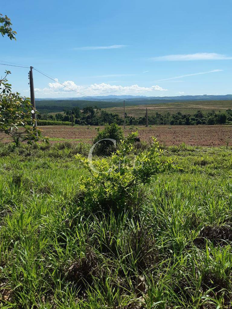 Sítio, 3 quartos, 3 m² - Foto 25