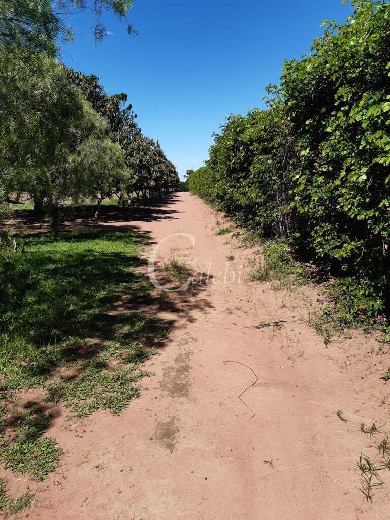 Sítio, 3 quartos, 3 m² - Foto 23