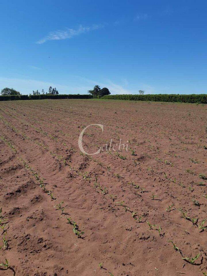 Sítio, 3 quartos, 3 m² - Foto 27