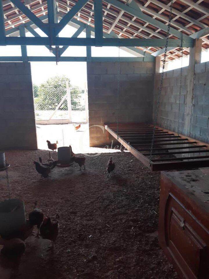 Sítio, 3 quartos, 3 m² - Foto 28