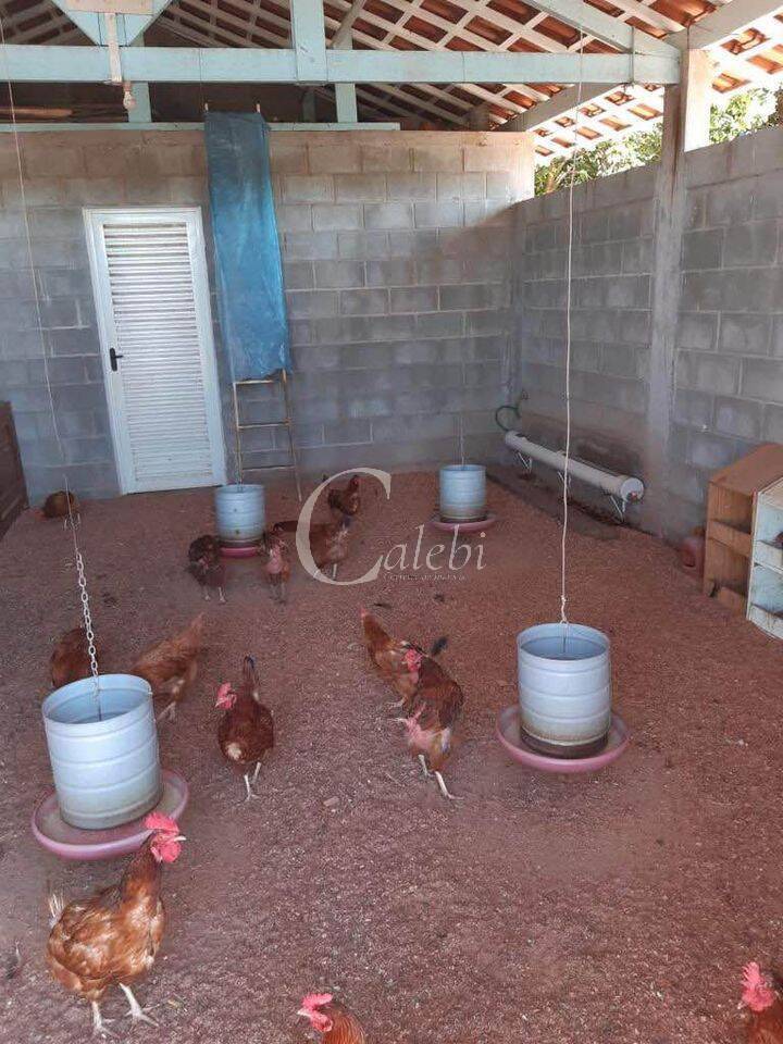 Sítio, 3 quartos, 3 m² - Foto 30